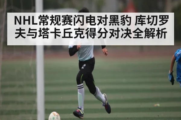 NHL常规赛闪电对黑豹 库切罗夫与塔卡丘克得分对决全解析